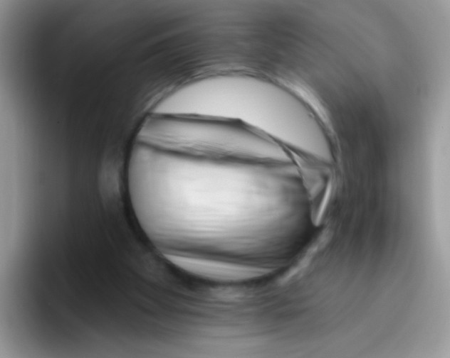 X0000095920105200802081121