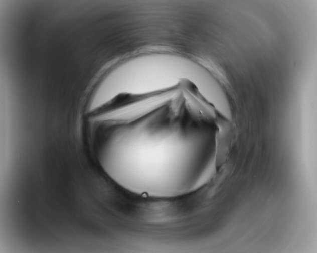 X0000095920108200802081121