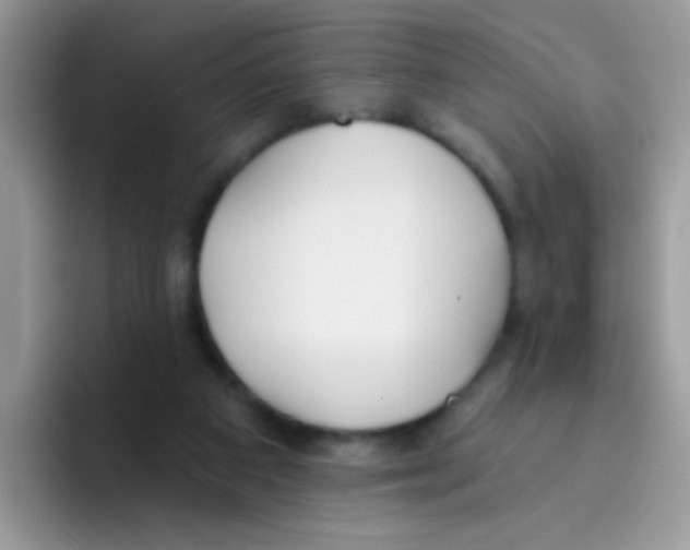 X0000095920113200802081121