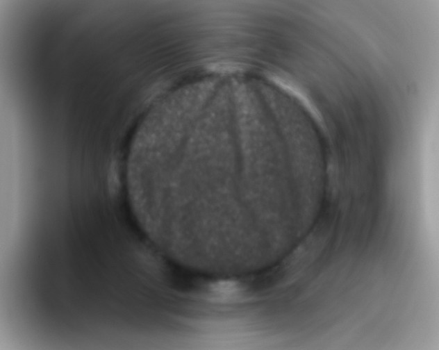 X0000095920114200802081121