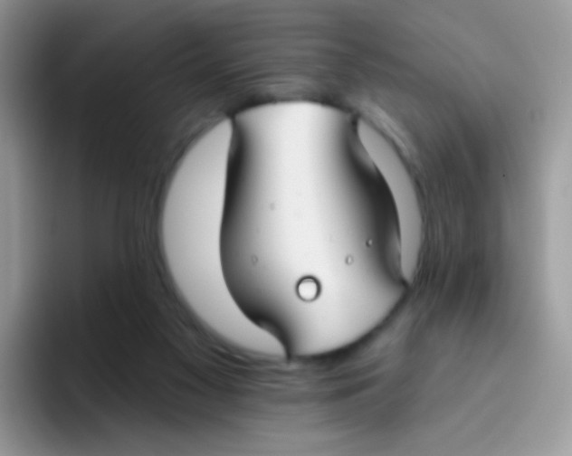 X0000095920117200802081121