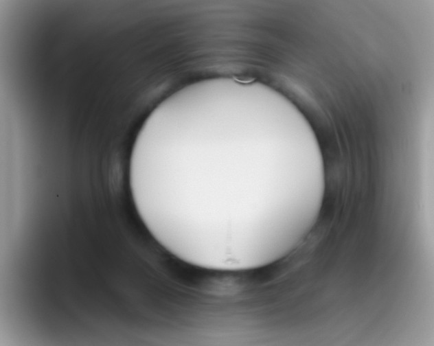 X0000095920120200802081121