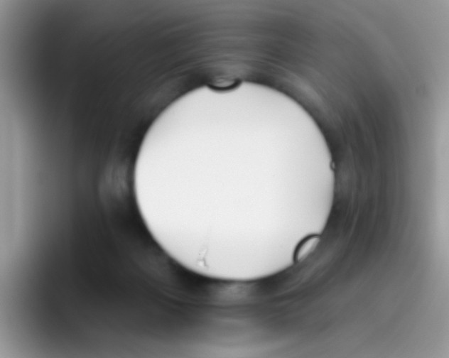 X0000095920122200802081121