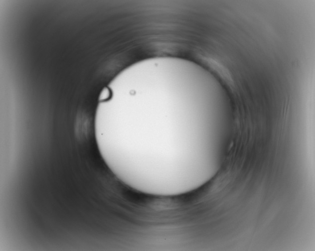 X0000095920123200802081121