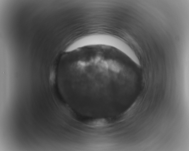 X0000095920124200802081121