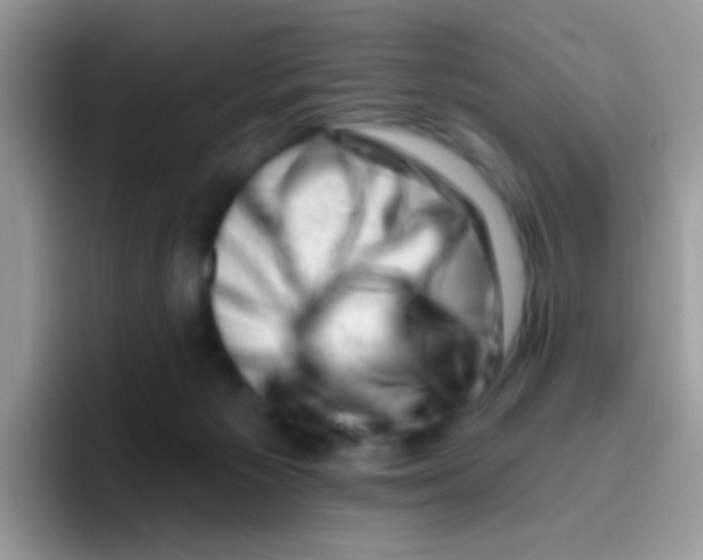 X0000095920125200802081121