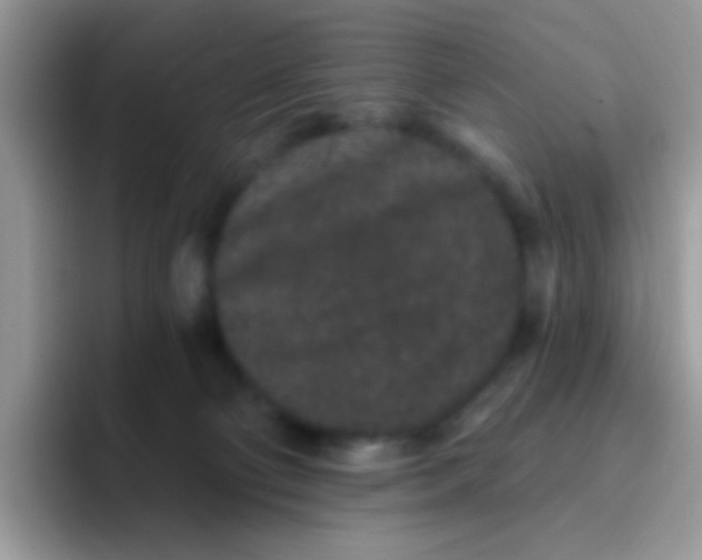 X0000095920130200802081121