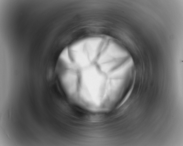 X0000095920134200802081121