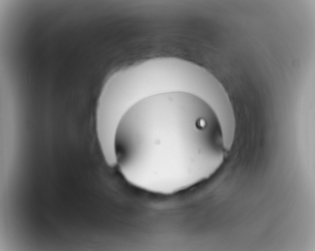 X0000095920144200802081121