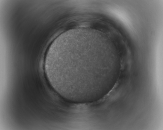 X0000095920146200802081120