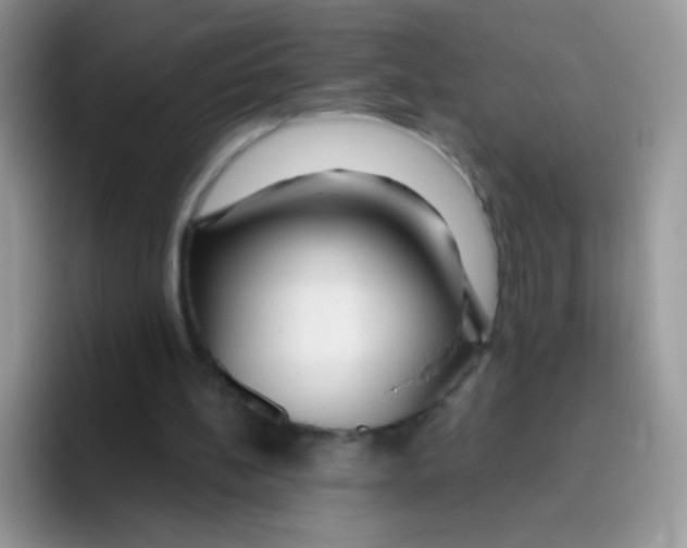 X0000095920148200802081120