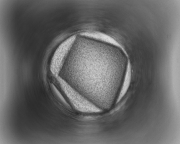 X0000095920149200802081120