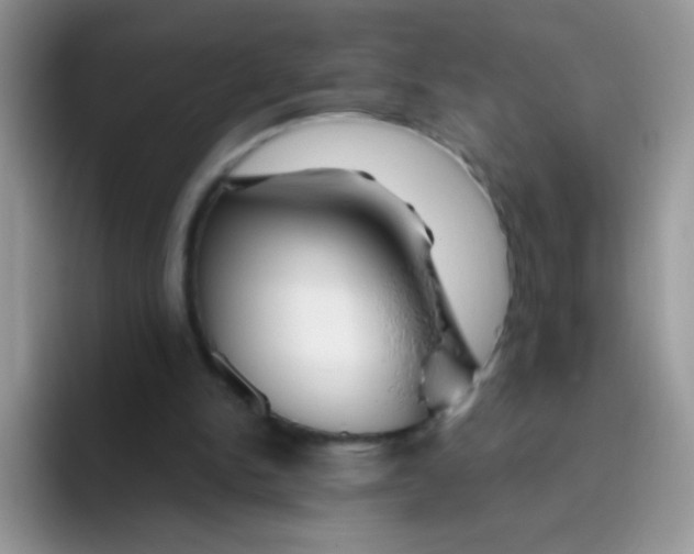 X0000095920150200802081120