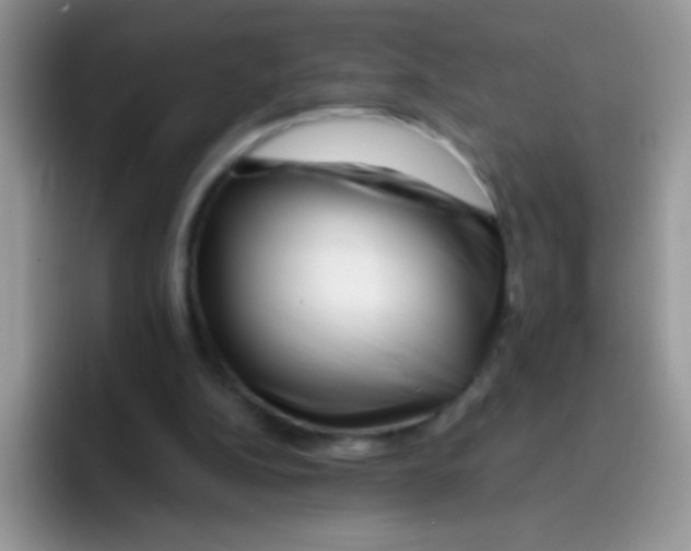 X0000095920152200802081120