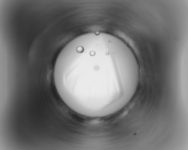 X0000095920153200802081120