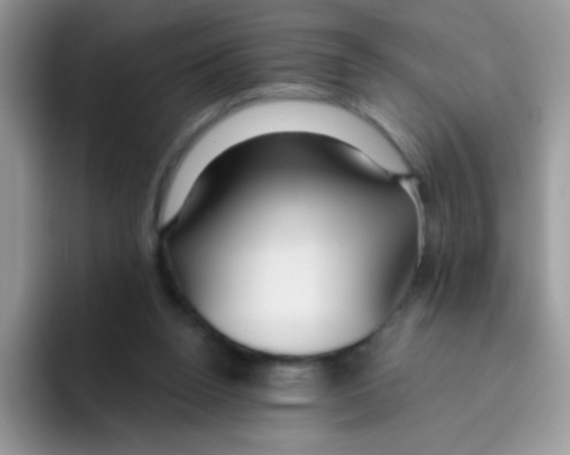 X0000095920160200802081120