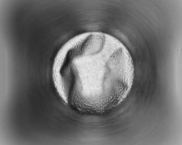 X0000095920161200802081120