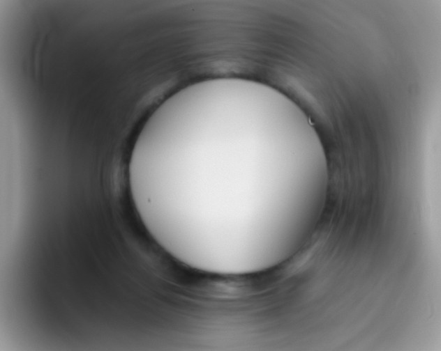 X0000095920164200802081120