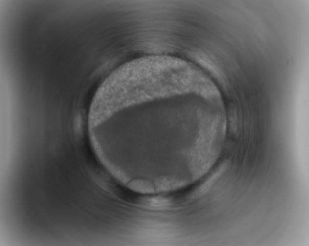 X0000095920165200802081120