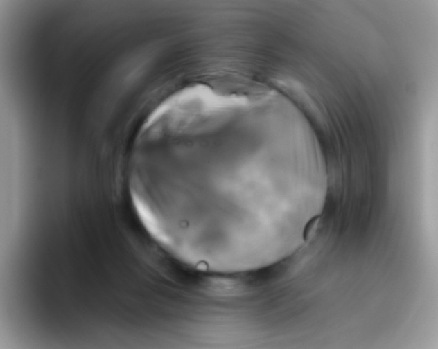 X0000095920167200802081120