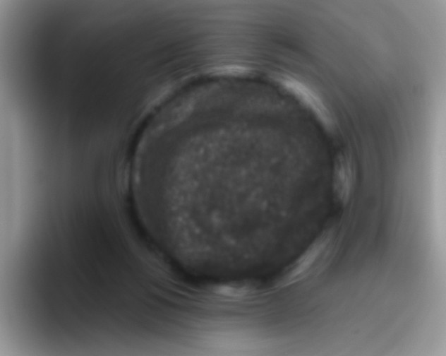 X0000095920168200802081120