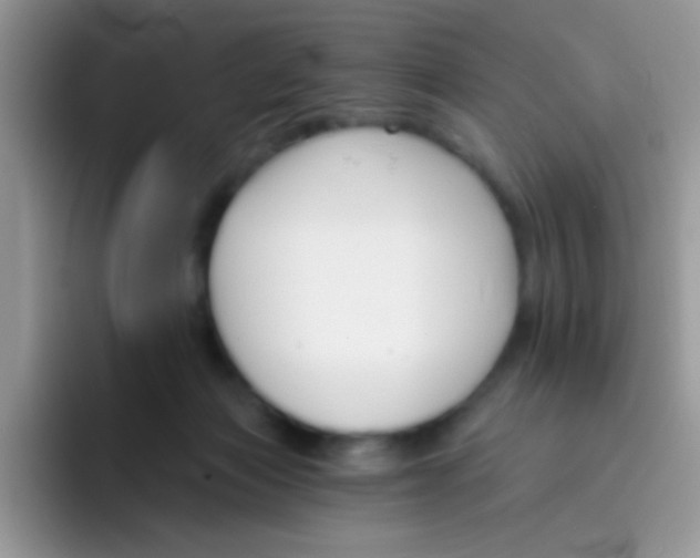 X0000095920173200802081120