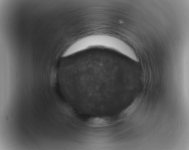 X0000095920180200802081120