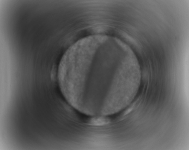 X0000095920181200802081120