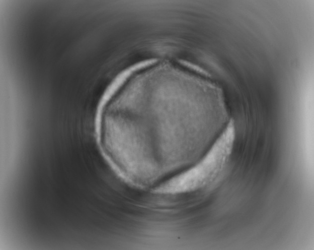 X0000095920182200802081120