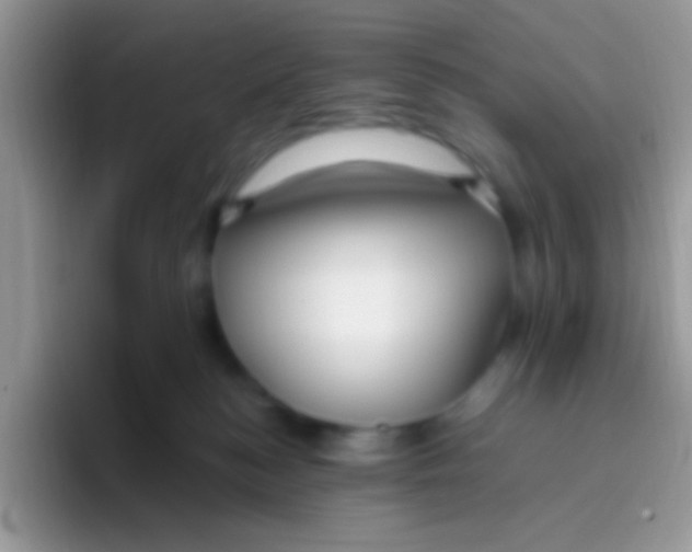 X0000095920184200802081120