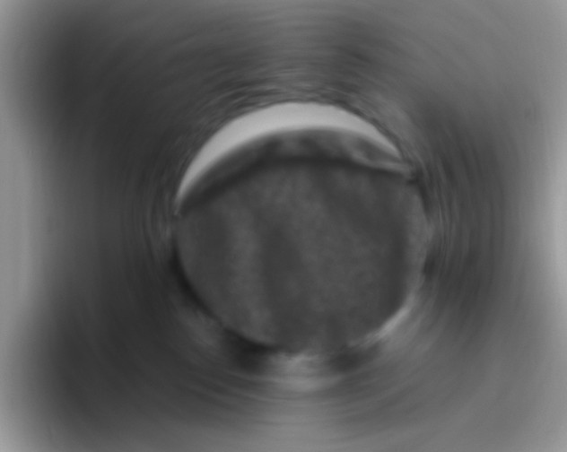 X0000095920186200802081120