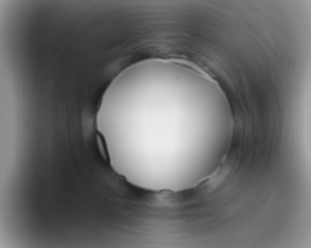 X0000095920188200802081120