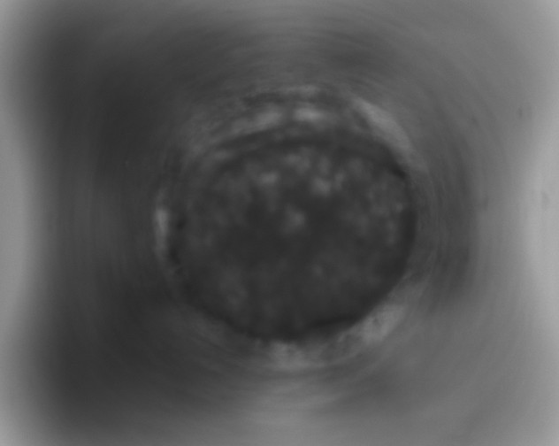 X0000095920192200802081121