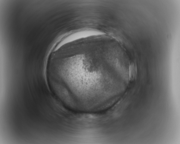 X0000095920195200802081120