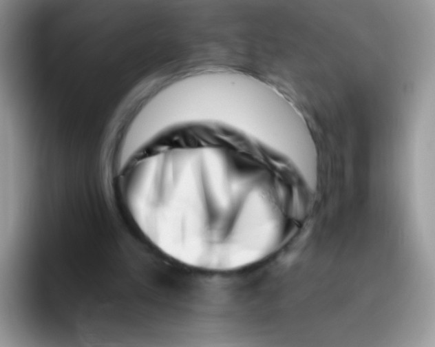 X0000095920197200802081120