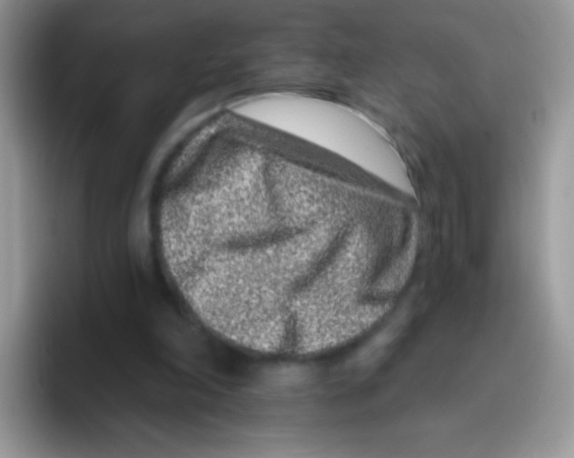 X0000095920198200802081120