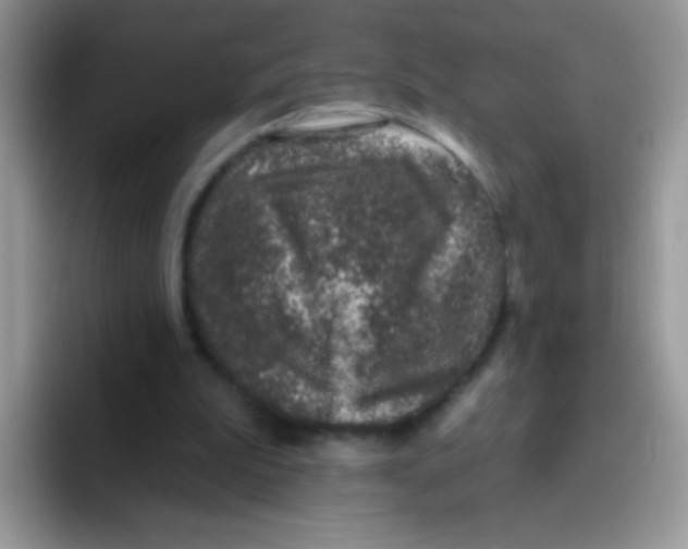 X0000095920199200802081120