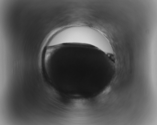 X0000095920200200802081120