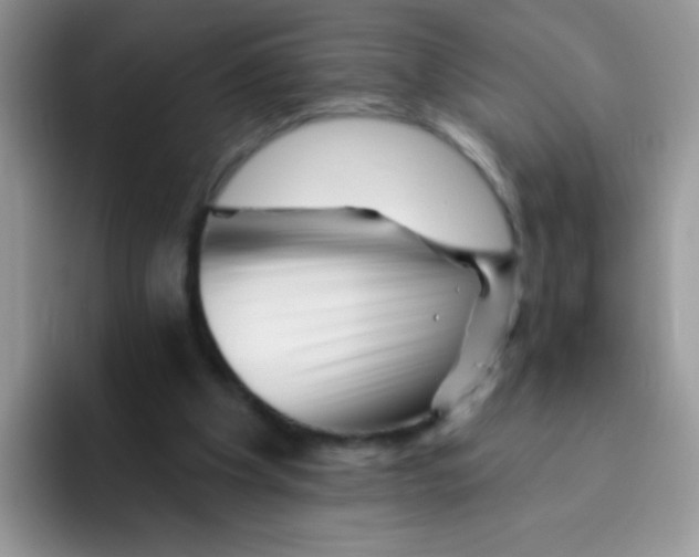 X0000095920201200802081120