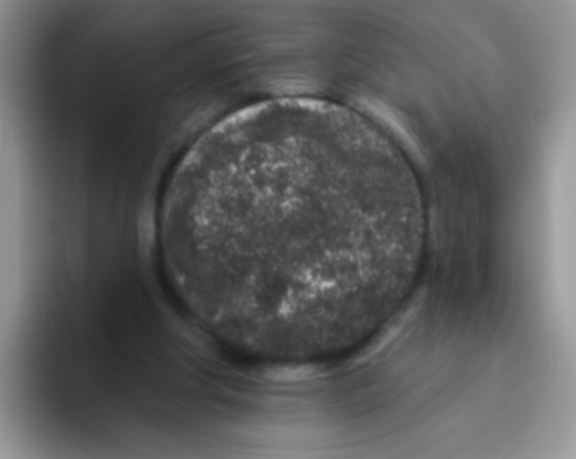 X0000095920202200802081120