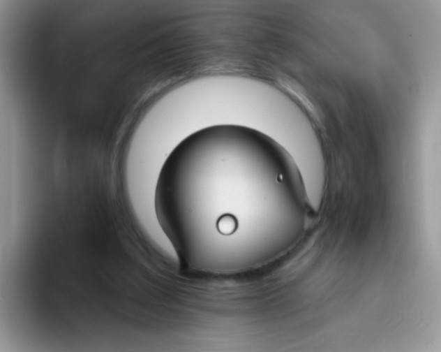 X0000095920203200802081120