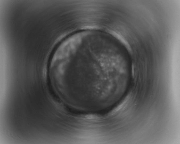 X0000095920204200802081120