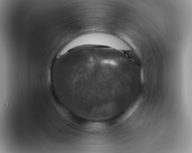 X0000095920205200802081120