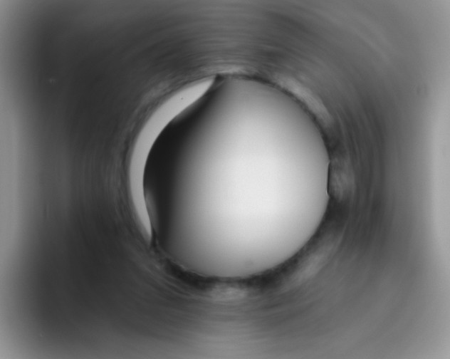 X0000095920207200802081120