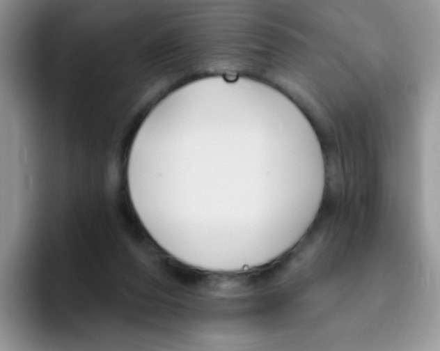 X0000095920208200802081120