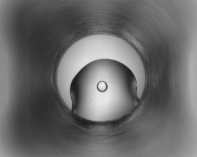 X0000095920209200802081120