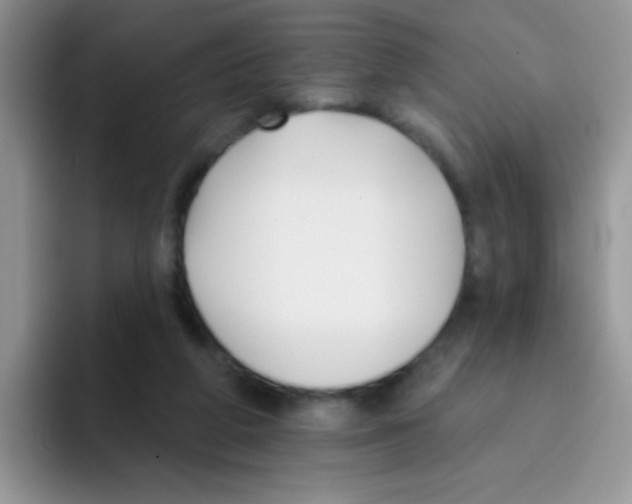 X0000095920210200802081120