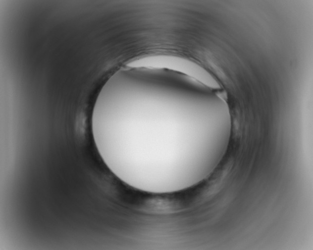 X0000095920211200802081120