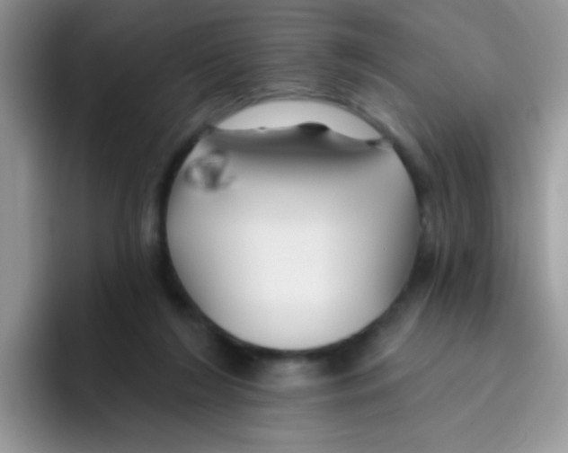 X0000095920212200802081120