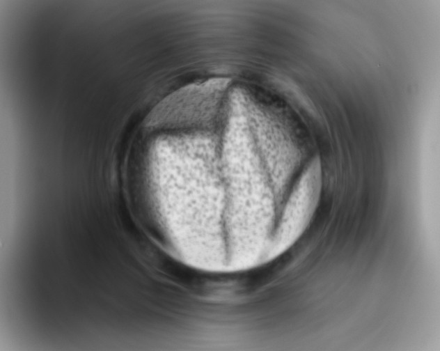 X0000095920213200802081120